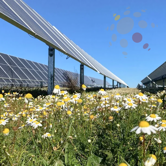 Insua Nordic Solar